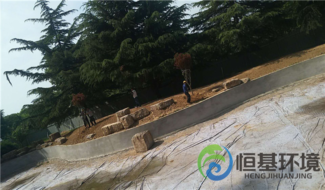 迎賓館濕地工程—景觀樹(shù)種植